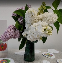 Magyar Iskola – Május